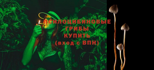 крисы Вяземский