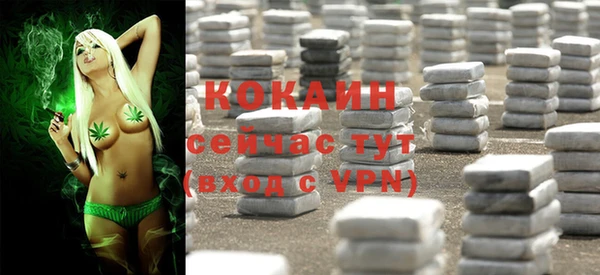 крисы Вяземский
